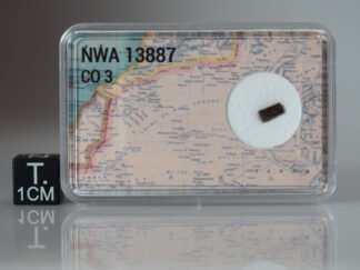 NWA 13887 (CO3) - 0.039g part slice