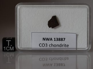 NWA 13887 (CO3) - 0.296g part slice