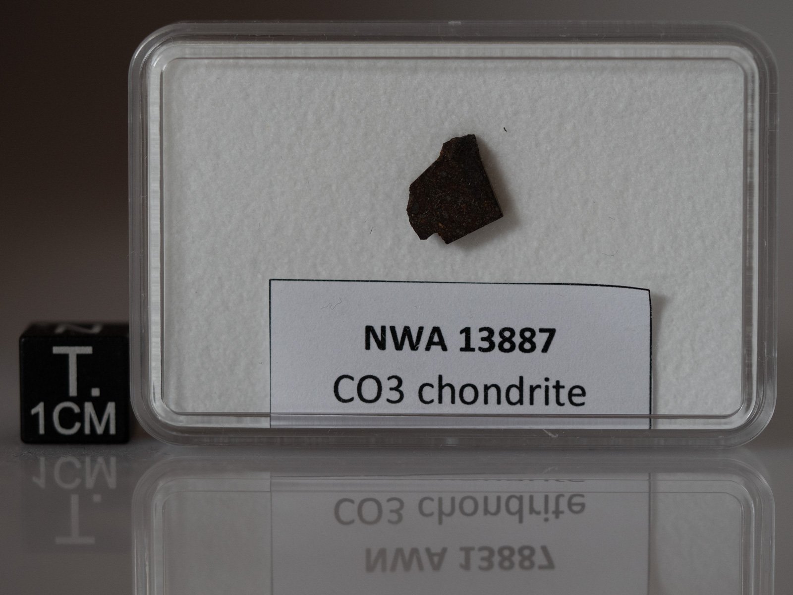 NWA 13887 (CO3) - 0.296g part slice