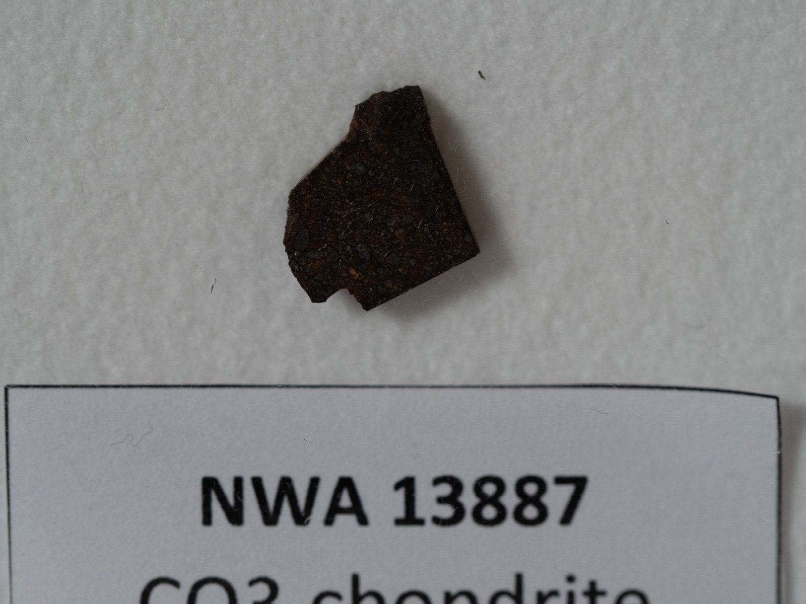 NWA 13887 (CO3) - 0.296g part slice - Image 2