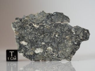 NWA 13930 (frag. breccia) - 12.4g slice