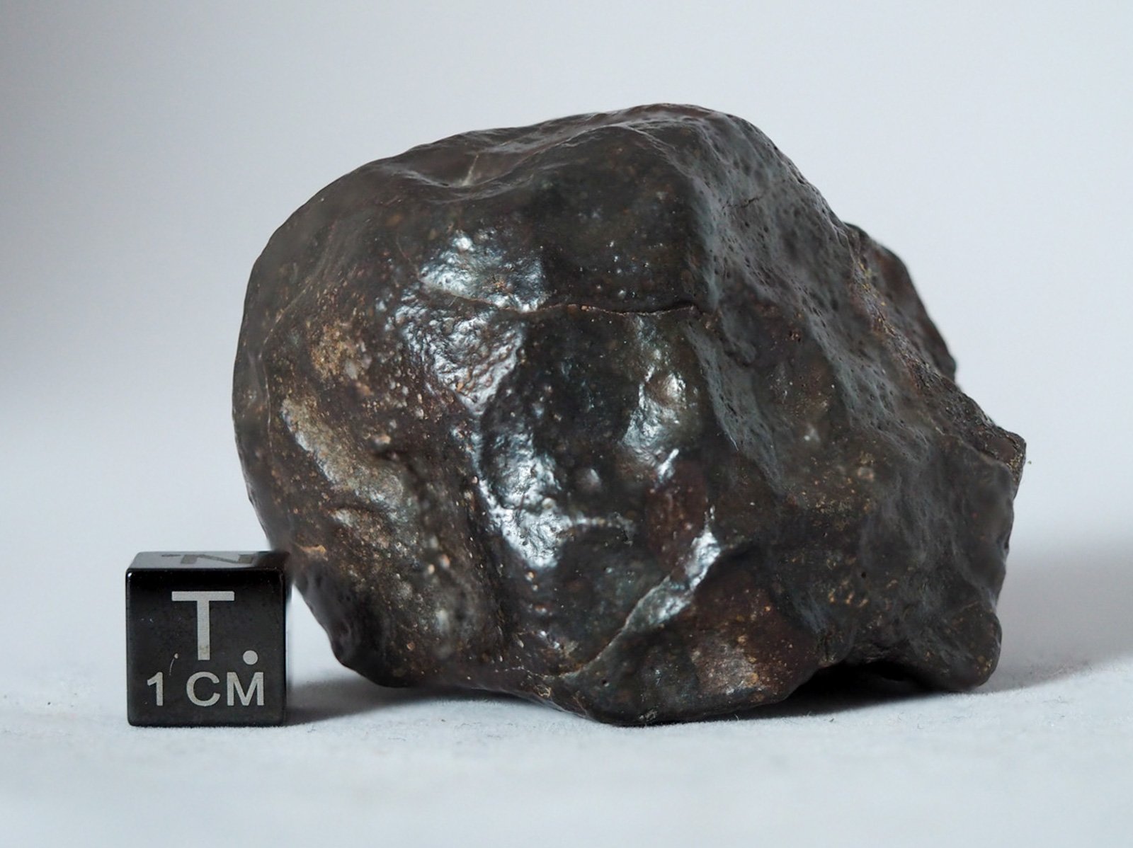 NWA 14542 (R3) - 134.7g specimen - Image 4