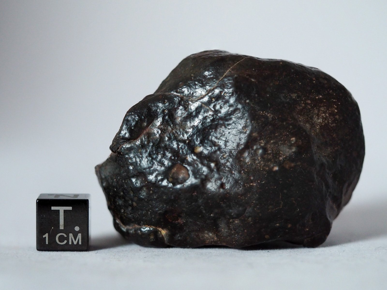 NWA 14542 (R3) - 134.7g specimen - Image 3