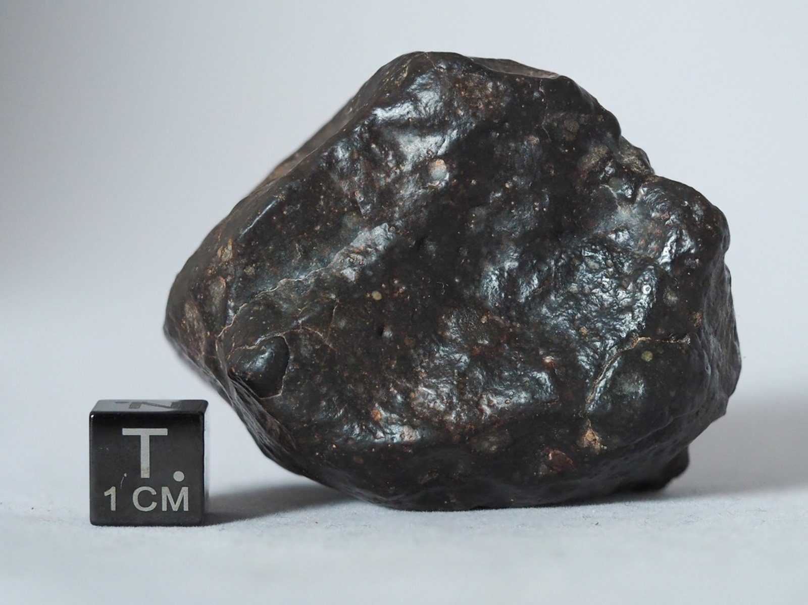 NWA 14542 (R3) - 134.7g specimen - Image 2