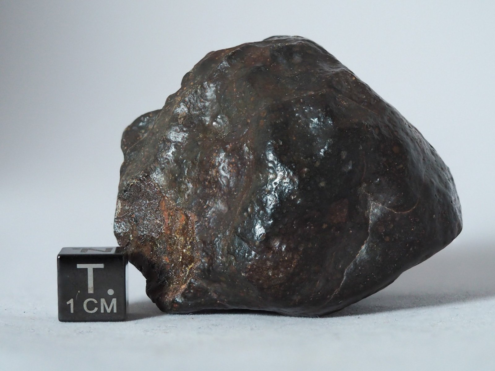 NWA 14542 (R3) - 134.7g specimen