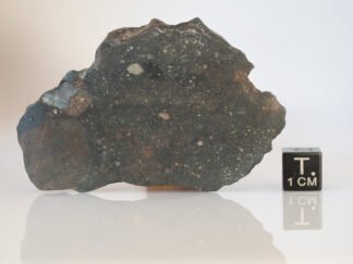 NWA 14542 (R3) - 82.4g endcut