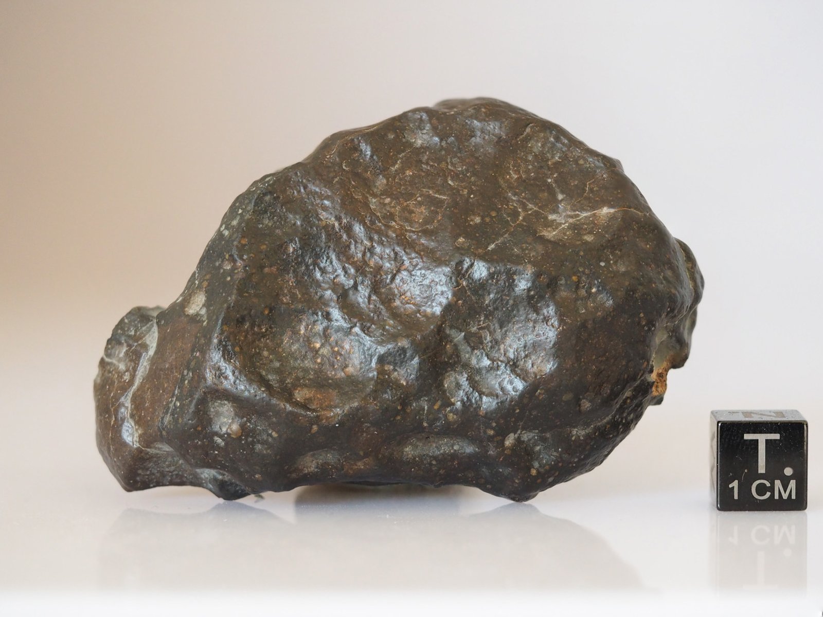 NWA 14542 (R3) - 96g endcut - Image 2