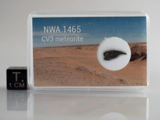 NWA 1465 (CV3-an) - 0.192g part slice