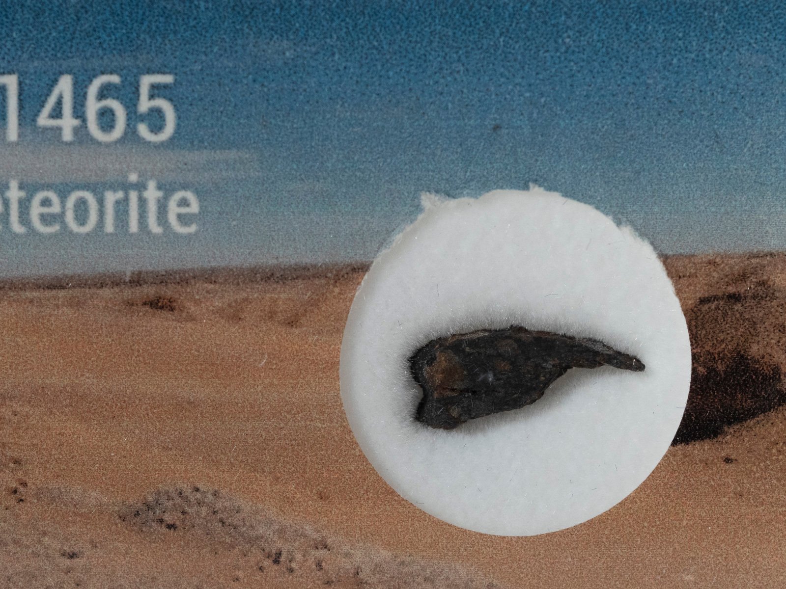 NWA 1465 (CV3-an) - 0.192g part slice - Image 2