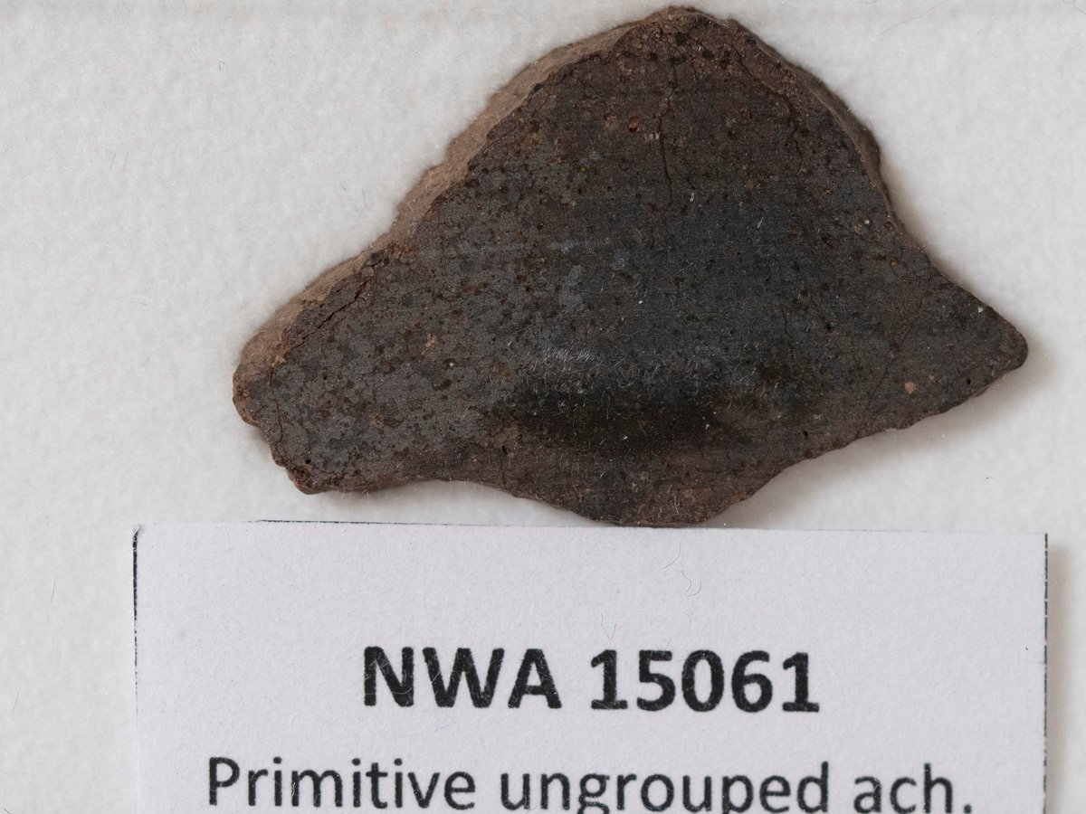 NWA 15061 (prim. achondrite) - 2.40g slice - Image 2
