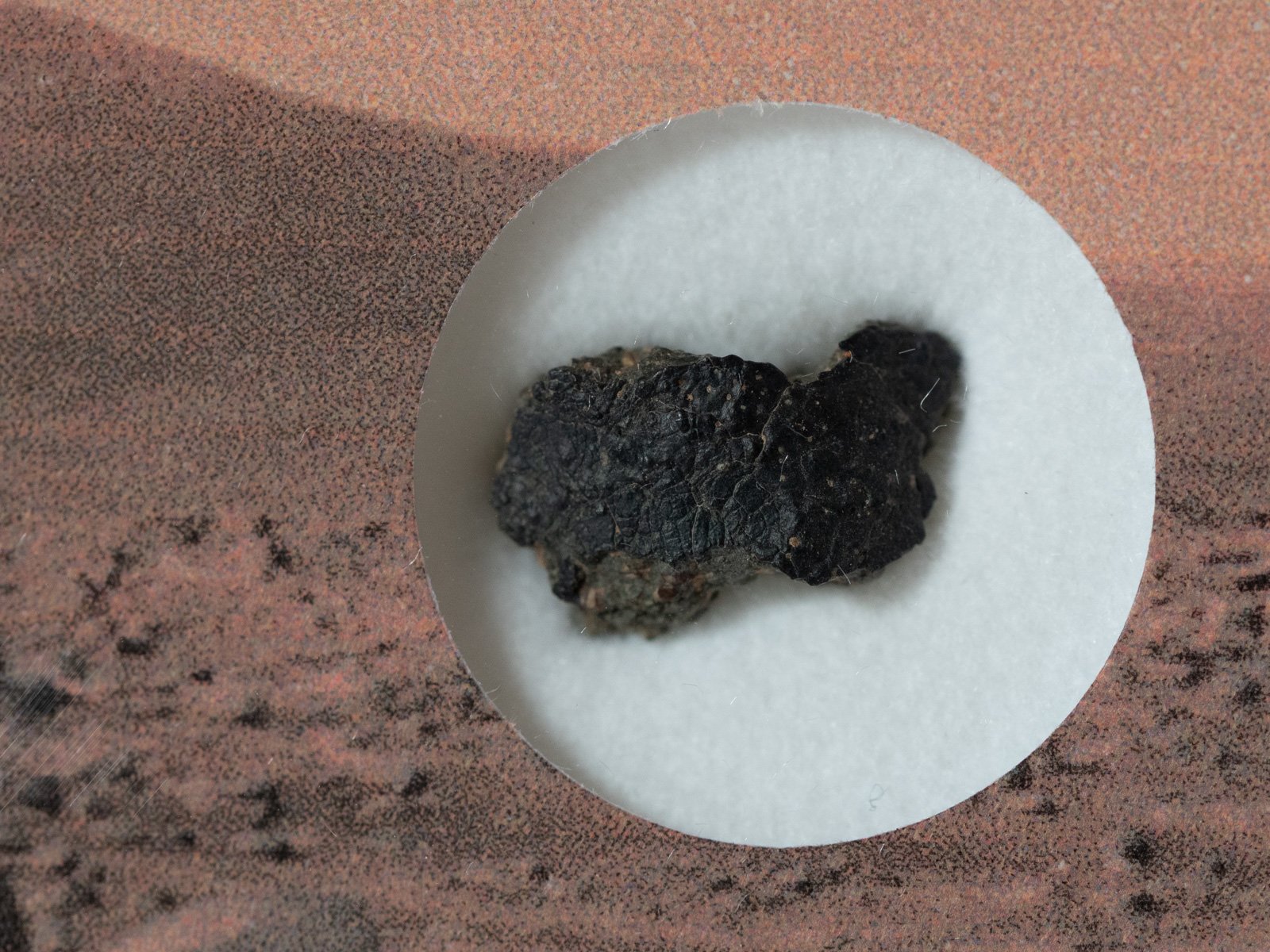 NWA 15364 (nakhlite) - 0.402g fragment with crust - Image 2