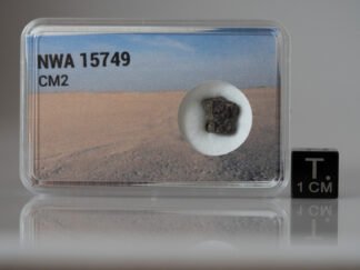 NWA 15749 (CM2) - 0.512g fragment