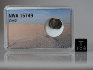 NWA 15749 (CM2) - 0.685g fragment