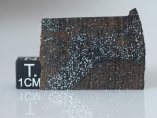 NWA 16397 (acapulcoite) - 2.77g part slice