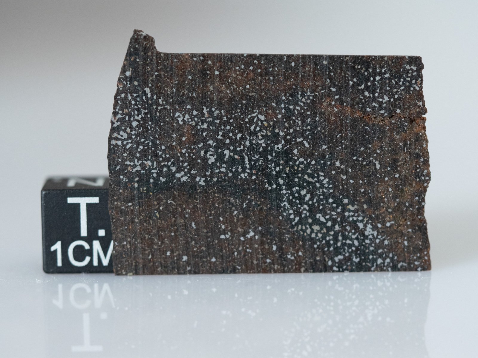 NWA 16397 (acapulcoite) - 2.77g part slice - Image 2