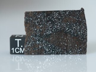 NWA 16397 (acapulcoite) - 2.91g part slice