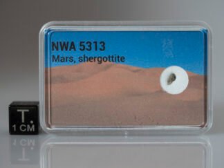 NWA 5313 (shergottite) - 0.012g