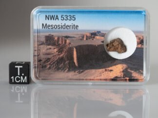 NWA 5335 (mesosiderite) - 0.511g fragment