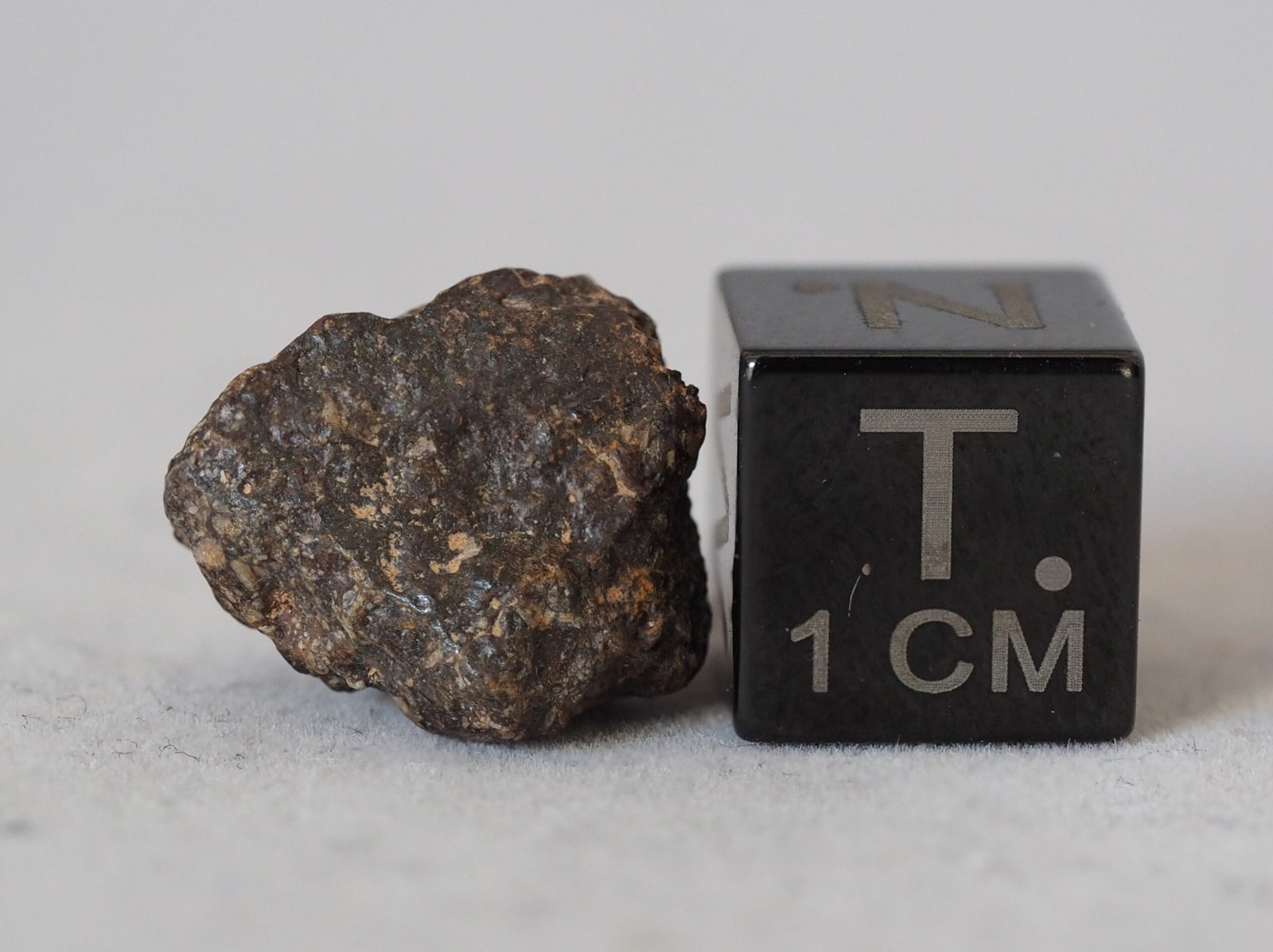 NWA 5885 (aubrite) - 2.174g fragment - Image 4