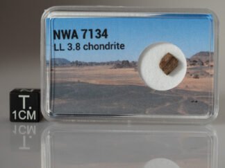 NWA 7134 (LL 3.8) - 0.153g part slice