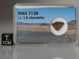 NWA 7134 (LL 3.8) - 0.266g part slice