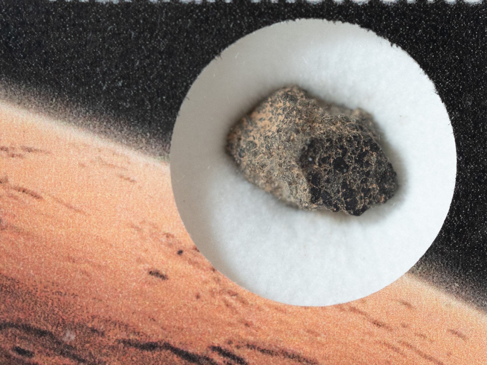 NWA 7397 (shergottite) - 0.60g fragment crusted - Image 2