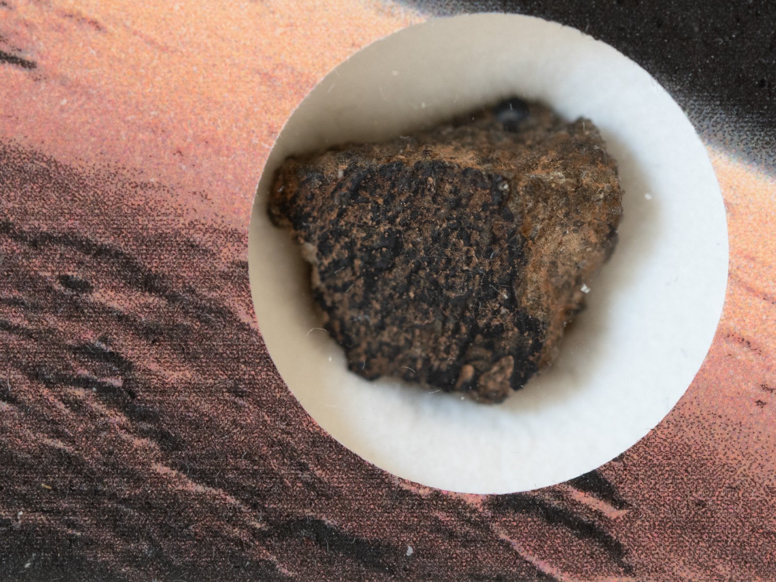 NWA 7397 (shergottite) - 1.19g fragment crusted - Image 5