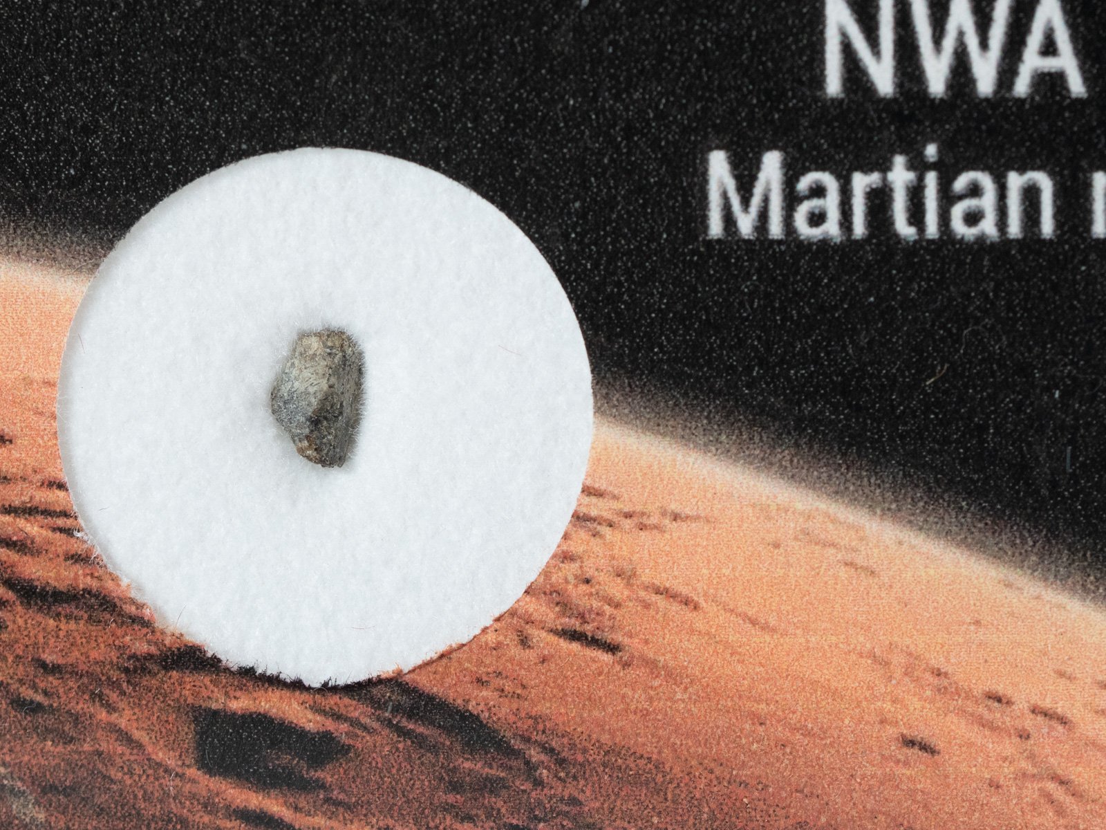 NWA 7397 (shergottite) - fragment nr 22 - Image 2