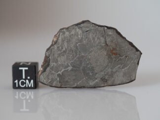 NWA 8348 (IAB-sHL) - 20.58g slice