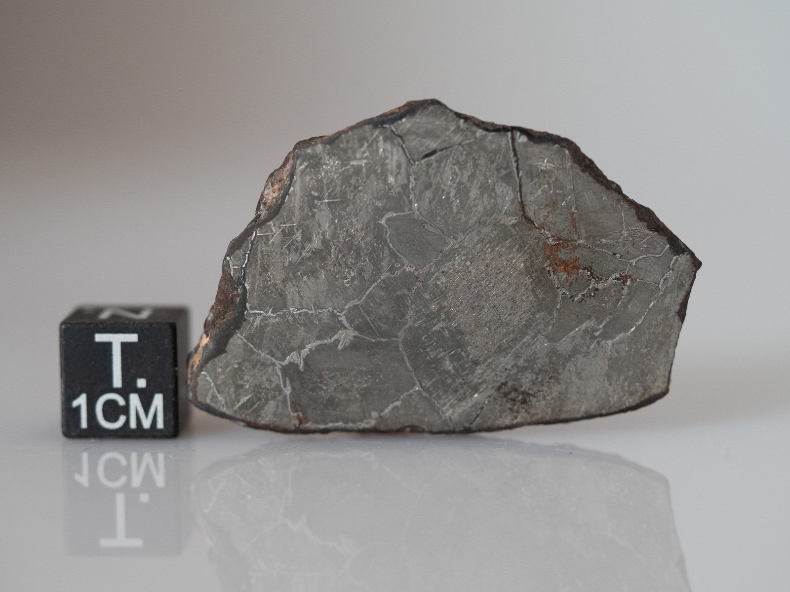 NWA 8348 (IAB-sHL) - 20.58g slice