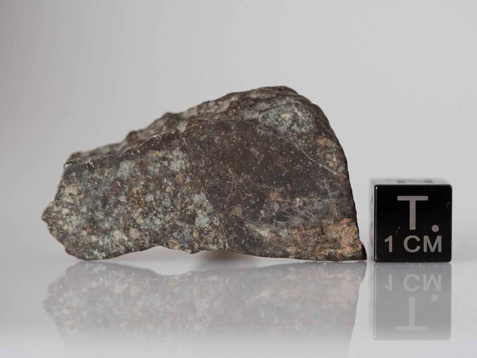 NWA 869 (L3-6) - 12.82g slice - Image 2