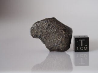 NWA 869 (L3-6) - 13.65g specimen