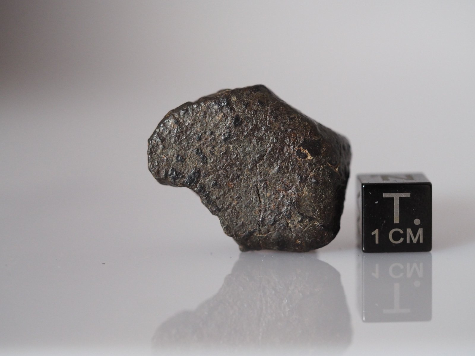 NWA 869 (L3-6) - 13.65g specimen