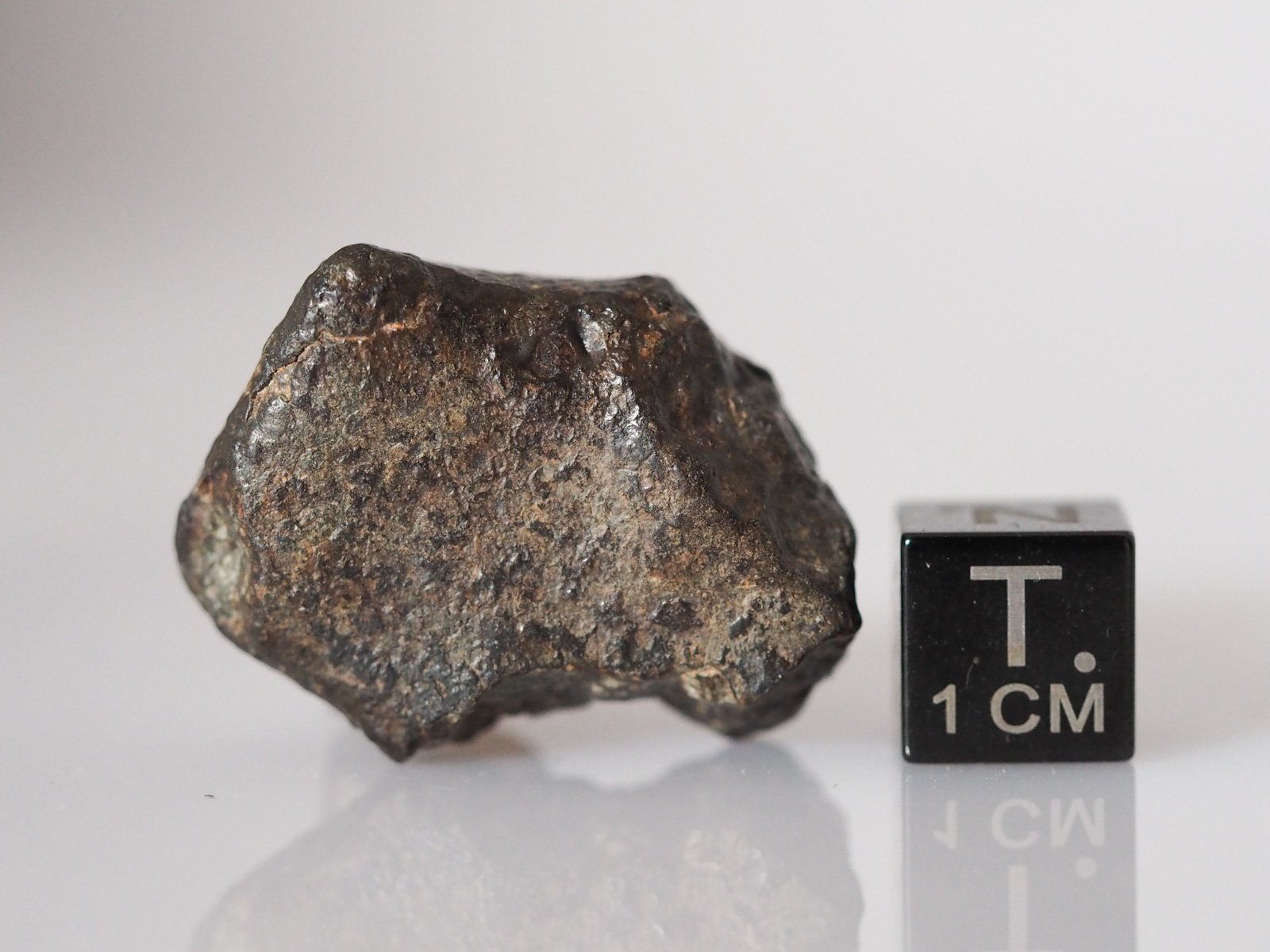 NWA 869 (L3-6) - 13.65g specimen - Image 2