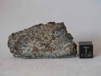 NWA 869 (L3-6) - 19.35g slice