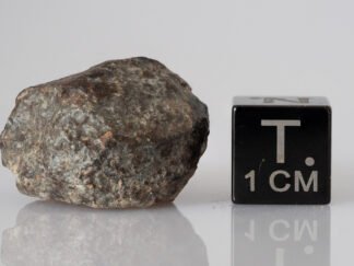 NWA 869 (L3-6) - 9.98g specimen