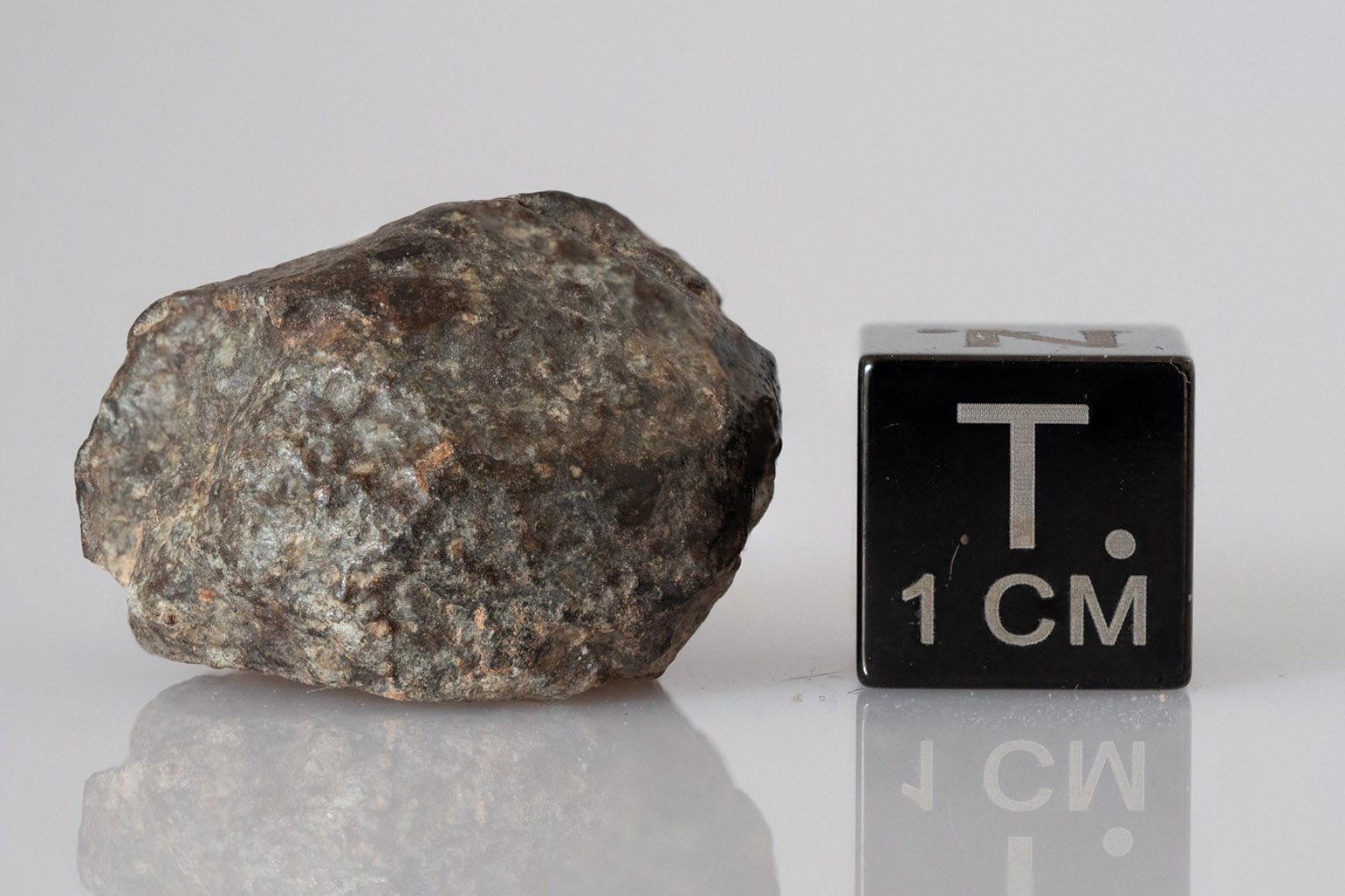 NWA 869 (L3-6) - 9.98g specimen