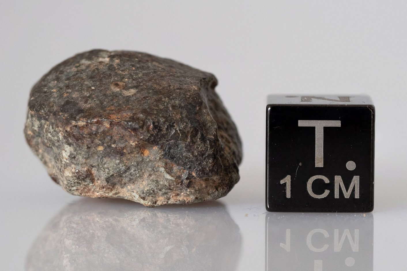 NWA 869 (L3-6) - 9.98g specimen - Image 2