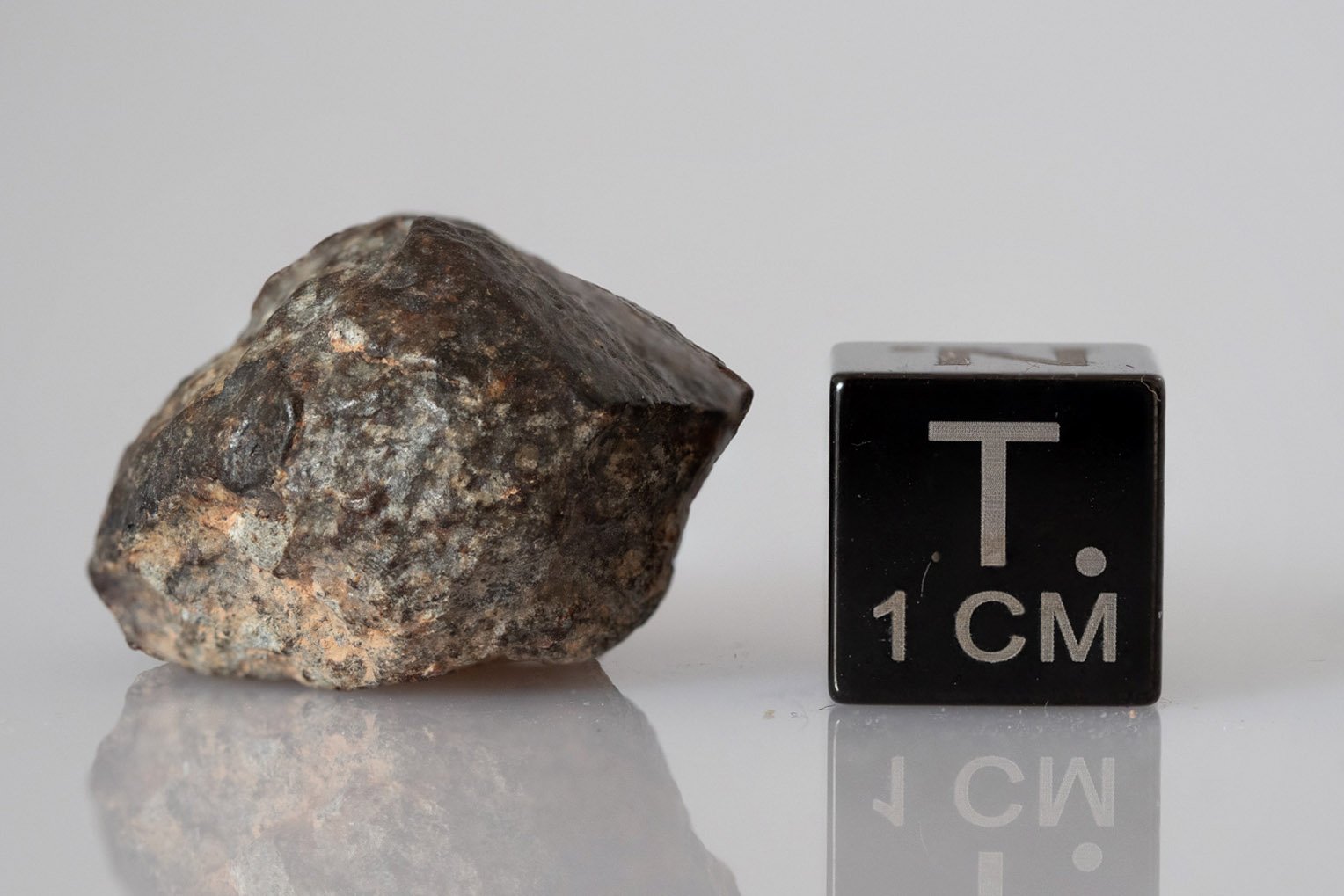 NWA 869 (L3-6) - 9.98g specimen - Image 3