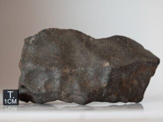 NWA xxx (unclassified chondrite) - 274g specimen