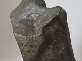 NWA xxx (unclassified chondrite) - 4 kg specimen