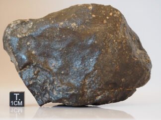 NWA xxx (unclassified chondrite) - 710g specimen