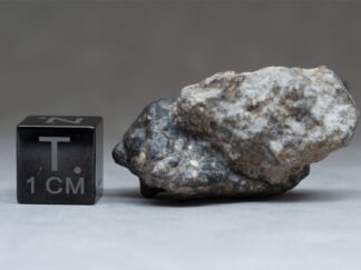 NWA xxx (feldsp. breccia) - 8.11g specimen