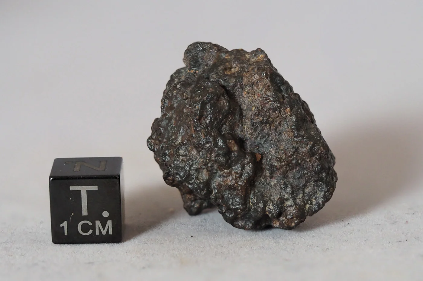 NWA 8036 (eucrite) - 19.45g specimen - Image 3
