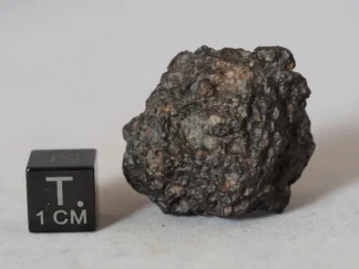 NWA 8036 (eucrite) - 19.45g specimen