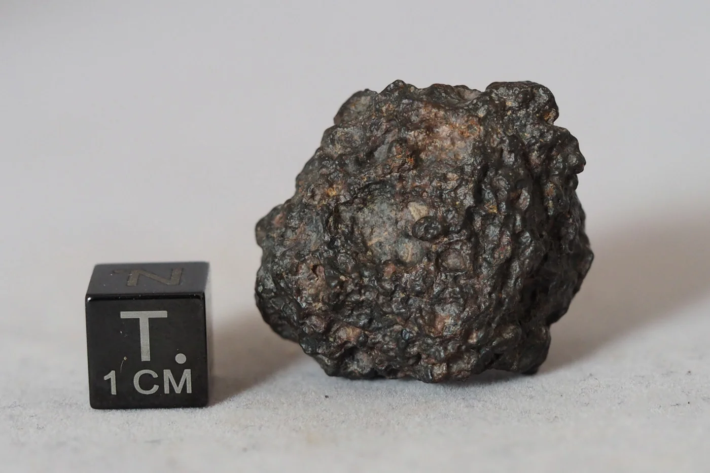 NWA 8036 (eucrite) - 19.45g specimen