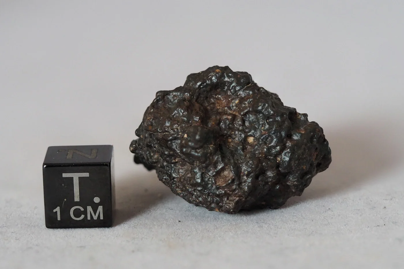 NWA 8036 (eucrite) - 19.45g specimen - Image 2