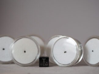 Orgueil (CI1) - fragment