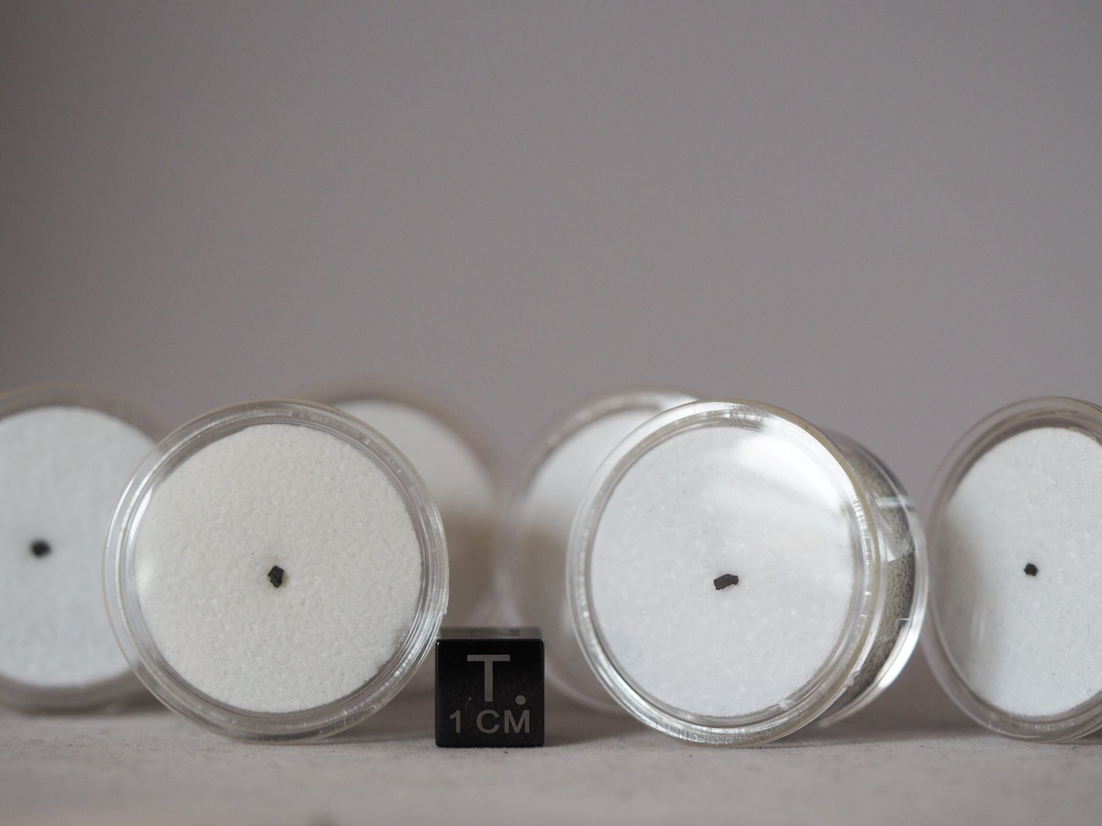 Orgueil (CI1) - fragment