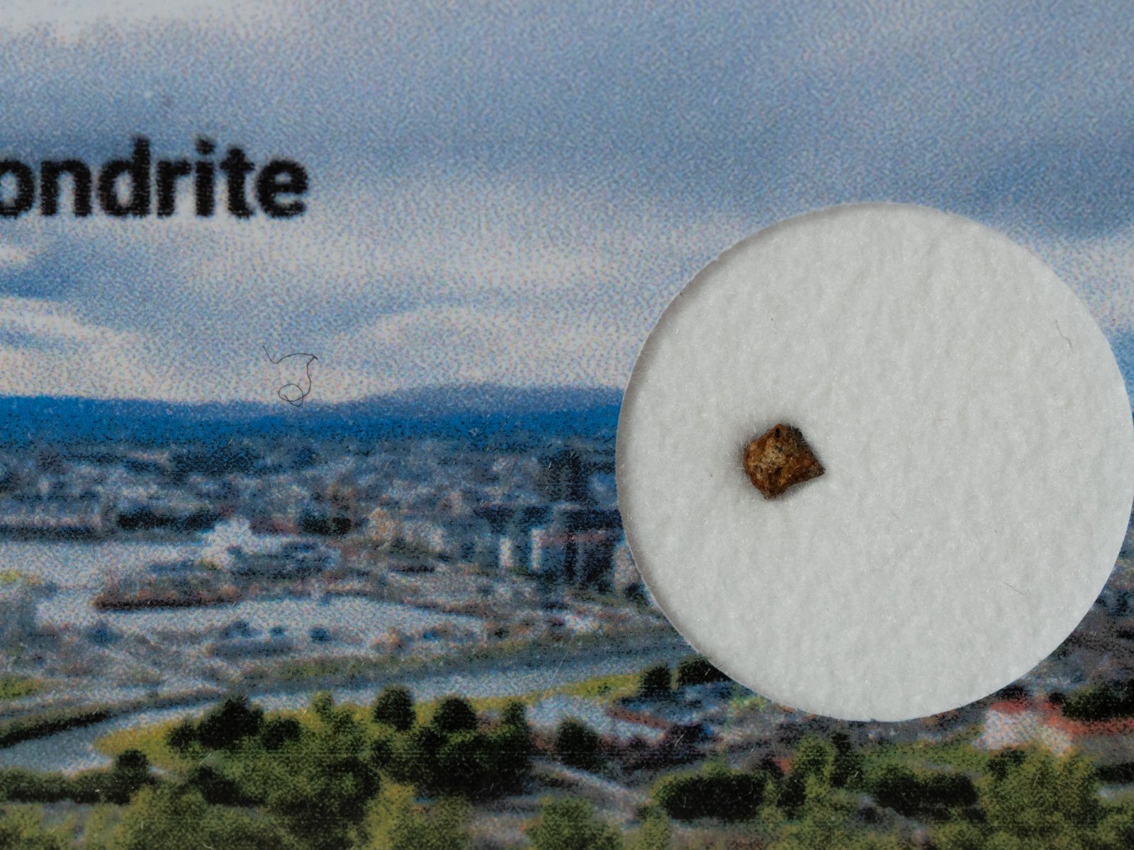 Oslo (H3-6) - fragment nr 7 - Image 2